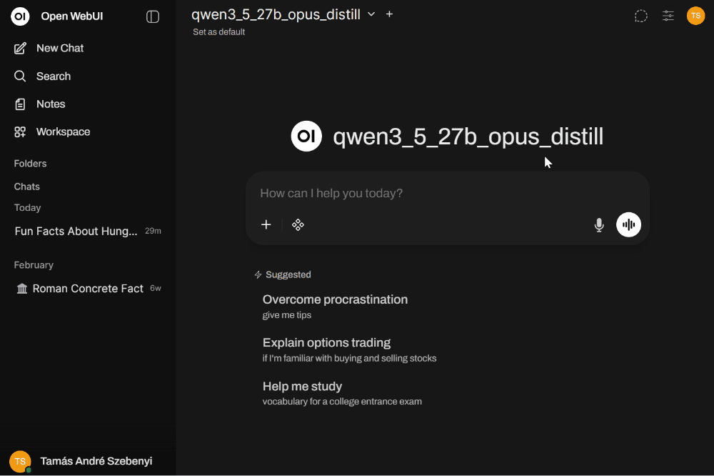 Websearch model setup